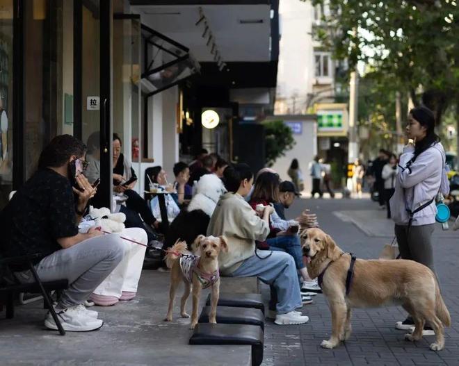 轻人抛弃了双11爱上了“老年严选”AG旗舰厅·(中国)网站这届脆皮年(图14)