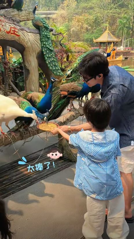 ！麦迪娜穿泳装美呆了4岁女儿颜值真的高AG旗舰厅app姜潮一家人在云南旅游(图8)