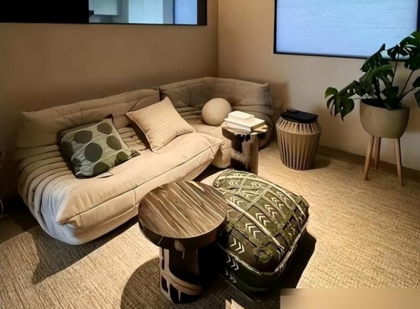 家庭？建议学年轻人这么做那叫一个高级！AG旗舰厅app客厅“沙发”退出中国(图6)