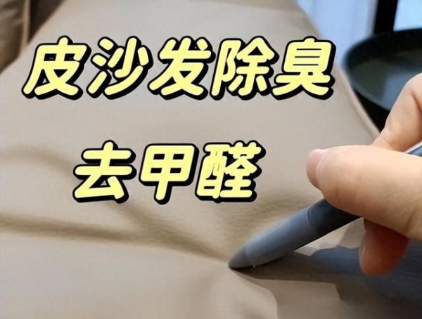 家庭？建议学年轻人这么做那叫一个高级！AG旗舰厅app客厅“沙发”退出中国(图7)